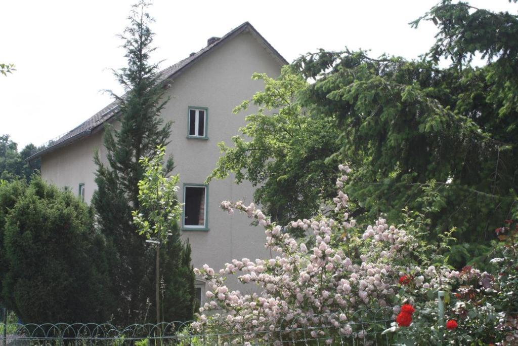 Lahnhaus Bruehl/ Fende Haus Daire Arfurt Dış mekan fotoğraf