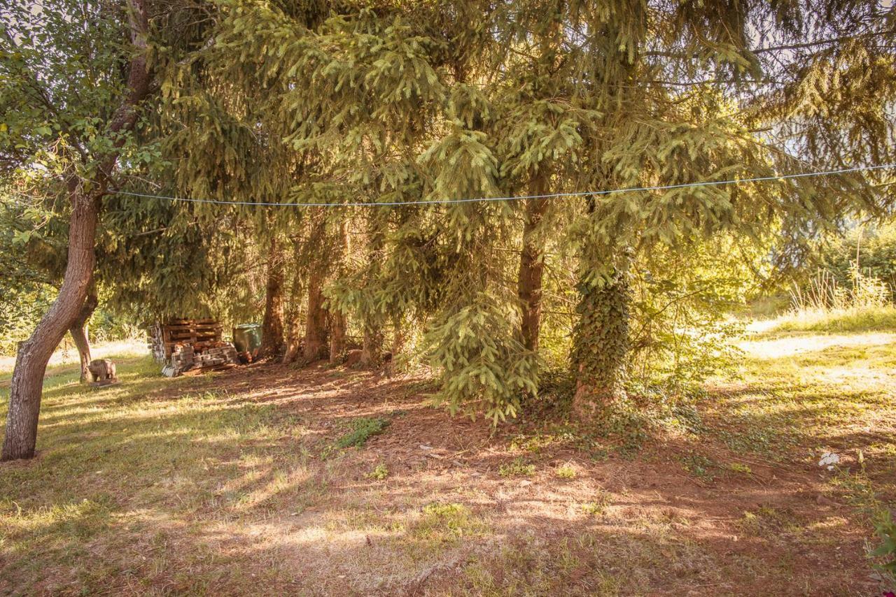 Lahnhaus Bruehl/ Fende Haus Daire Arfurt Dış mekan fotoğraf