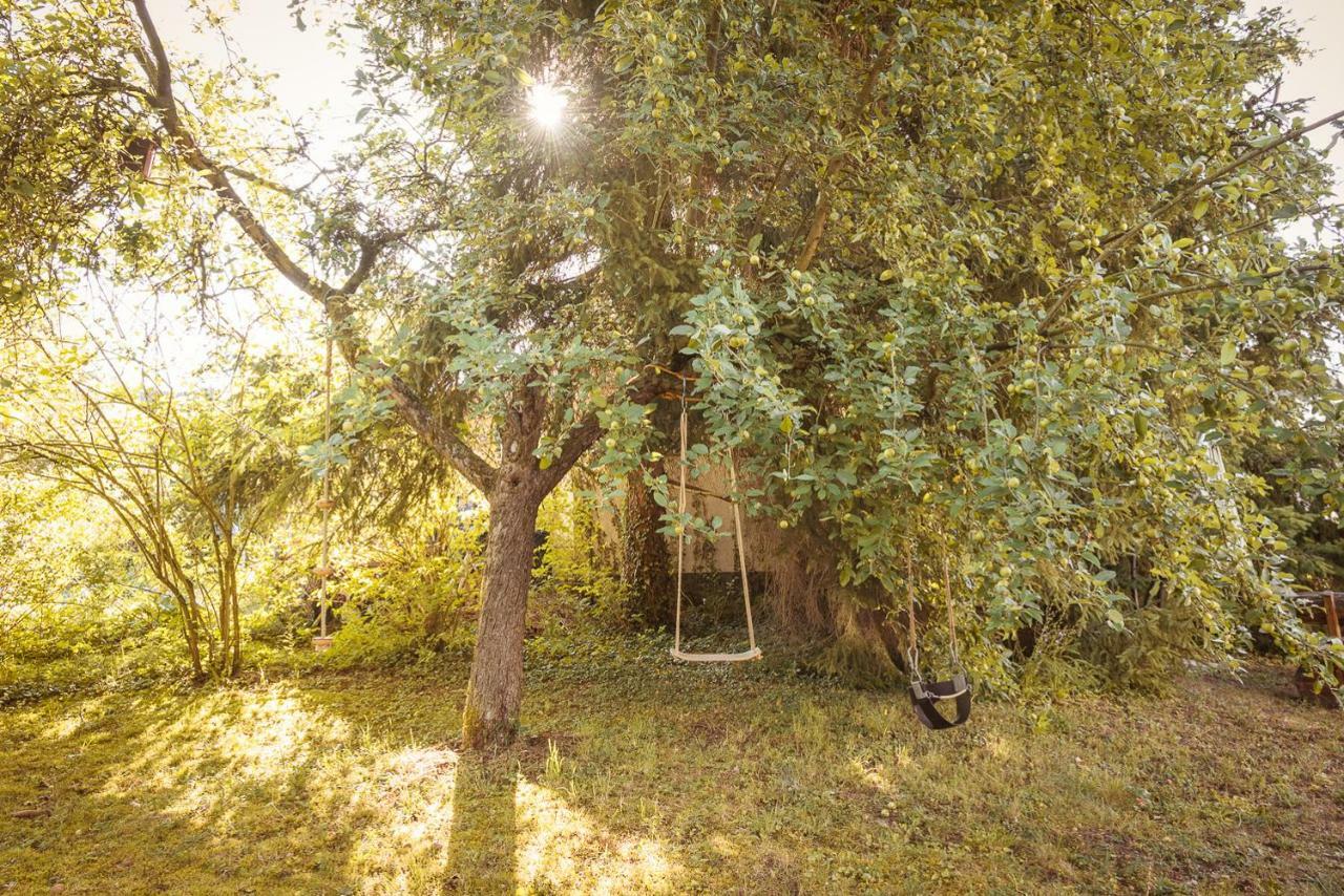 Lahnhaus Bruehl/ Fende Haus Daire Arfurt Dış mekan fotoğraf